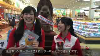 【アイドル】ビリケンさん1日店長@いずみ市民生協貝塚店【グリコ】
