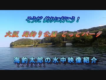 水中カメラ沈めてみた103　釣り浪漫を求めて　海釣り公園のすごい水中