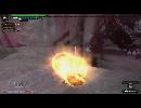 【MHF-G】ドゥレムディラ8分切れた～【リベンジ天棍ソロ】
