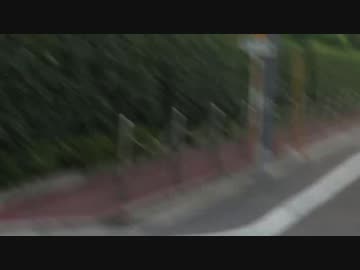 【公園猫戦争番外】夏の早朝、住宅街の猫模様に遭遇する