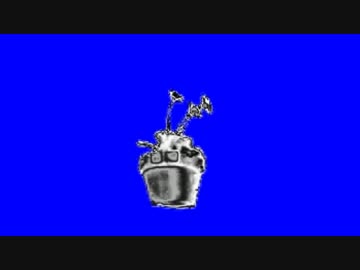 メタル植木鉢くんBB+使用例