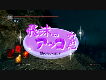 【ダークソウル】飛沫のアッコちゃん～怒りの小ロンド～