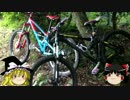 おっさんとMTBのある休日４