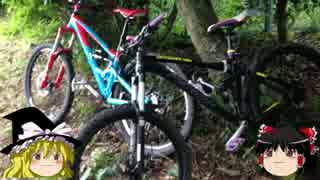 おっさんとMTBのある休日４