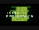 シスコン駄目兄貴が主人公【牢-RAW-】実況！ part12