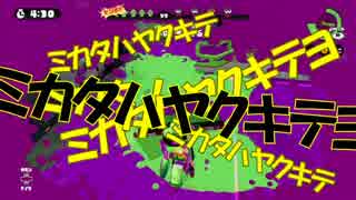 【Splatoon】イカした世界を自分色に Part.10【実況プレイ】
