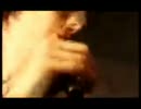 The Drowners - Lupinne