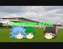 ゆっくり達のテキトーモットー競馬予想５８～中京記念とか～