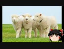 【ゆっくり】ながらじ＃３【ラジオ】