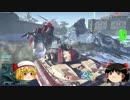 ゆっくり2人組みのTerran Republic従軍録　24：DUMを追えⅣ