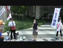 【2015/07/26】維新政党新風婦人部街宣in秋葉原1【国防】