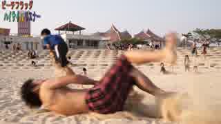 人気の ひっちゃん 動画 108本 2 ニコニコ動画