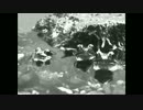 怪談かえるのうた