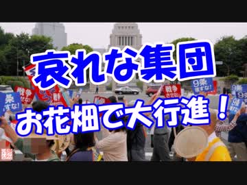 【哀れな集団】 お花畑で大行進！