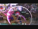 境界を貫く双角の凶鳥　Br/Huソロ　Part.3