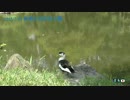 【2015/7/28】有栖川宮記念公園【4Kテスト】