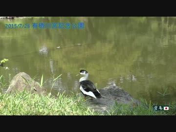 【2015/7/28】有栖川宮記念公園【4Kテスト】