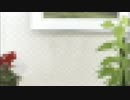 ノックマンエグゼ6_ナビ戦.mp4