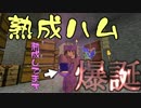 【Minecraft1スタック縛り第2章】命がけでダイヤを集める第14話
