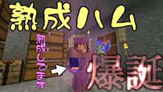 【Minecraft1スタック縛り第2章】命がけでダイヤを集める第14話