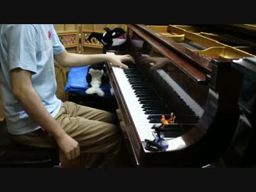 【シャチに入ってみた】七つの海のティコ：Sea loves you【世界迷作劇場】