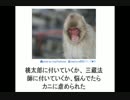 笑いの殿堂 bokete 画像集 Vol.5