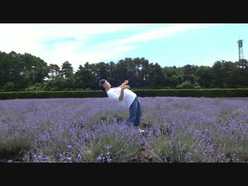 【となりのトトロ】ラベンダー畑の真ん中で踊ってみた