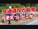 【交通違反と赦免】 今更気づいたニダ！