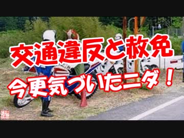 【交通違反と赦免】 今更気づいたニダ！