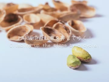 ハッカタクシー【ASMR】ささやき声で運転♪途中でピスタチオを買う☆坂道を登る音つき 2015.07.03