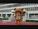 みんなで踊ろう！やっさいもっさい 2015
