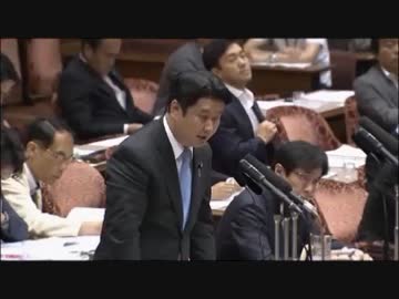 和田政宗（次世代の党）参議院平和安全特別委員会 平成27年7月29日