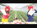 アンバサダー