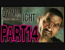 【実況】ノリと勢いで乗り切る PART14【Dying Light】
