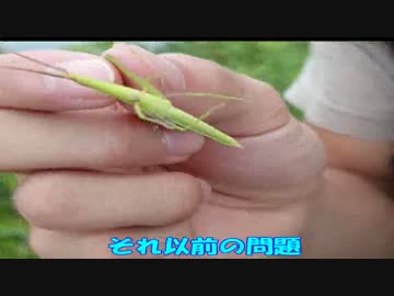 ちょっと大自然でダイエットする（貧乏旅行）1