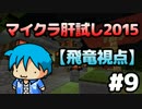 【Minecraft】マイクラ肝試し2015 #9【飛竜視点】