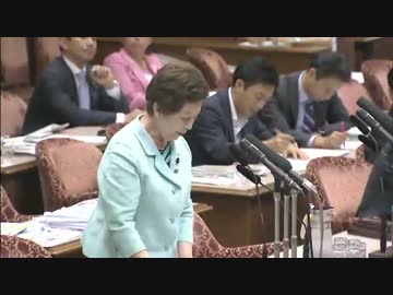 H27/7/30 参議院平和安全特別委・中山恭子【他の野党が触れない拉致問題】