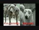 「キャズノリ」　もののけ姫を本気で歌ってみた。