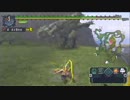 【MHP】今だから振り返る約10年前のモンハンを見ていく　～ part 17 ～