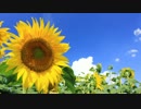 【ぼくのなつやすみ3】あの夏のキラキラ奇跡をRememberAgain【実況】#8月1日