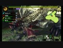 【MH4G】新・ギルクエLv140でマジ切れしてみたｗｗｗ～復活の天廻龍編～