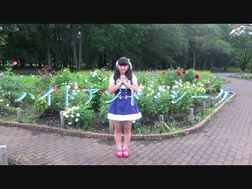 【Kassi-】ハイドアンド・シーク【再up】