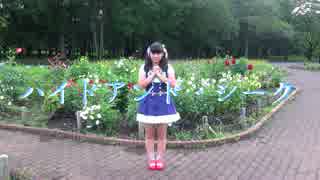 【Kassi-】ハイドアンド・シーク【再up】