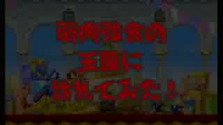 【NLTK】弱肉強食の王国に訪れてみた 二泊目【NewスーパーマリオWii】