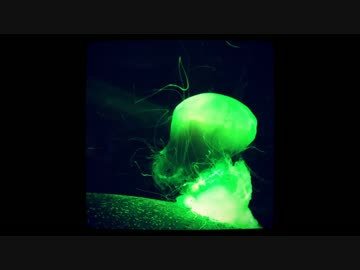 初音ミク　宙水中