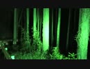 【心霊気違】頻繁に目撃される怨念目撃霊...!!《小田原いこいの森》