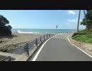 【アワイチ】淡路島を自転車で一周するよ １５ モンキーセンターへ １