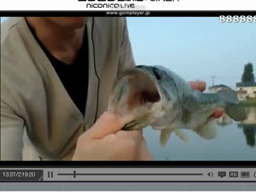 グルメなはずの琵琶湖のブラックバスの口になんでおまえが入ってるんだ