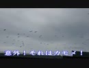 ちょっと大自然でダイエットする（貧乏旅行）2