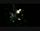 【MUGEN】 黒翼神 12P